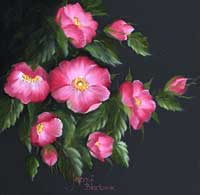 wild roses on black background